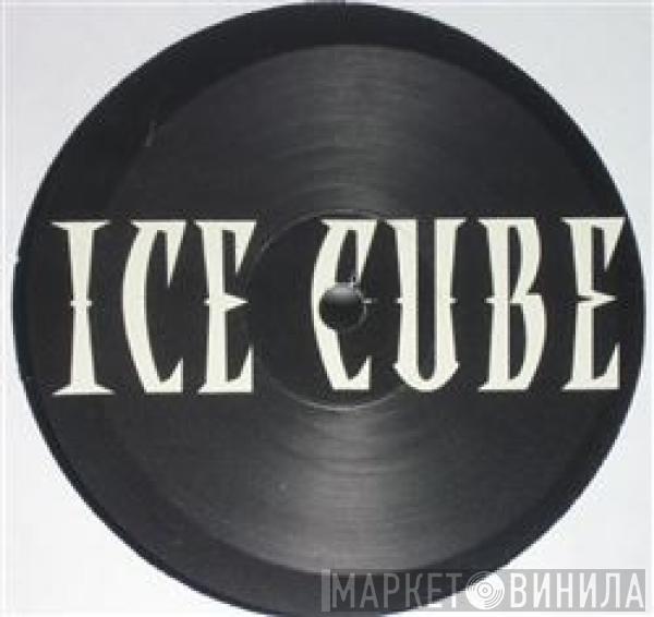  Ice Cube  - Chrome & Paint / You Got A Lot Of That