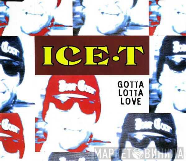 Ice-T - Gotta Lotta Love