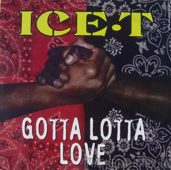 Ice-T - Gotta Lotta Love