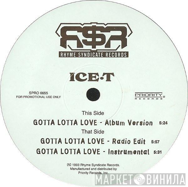  Ice-T  - Gotta Lotta Love