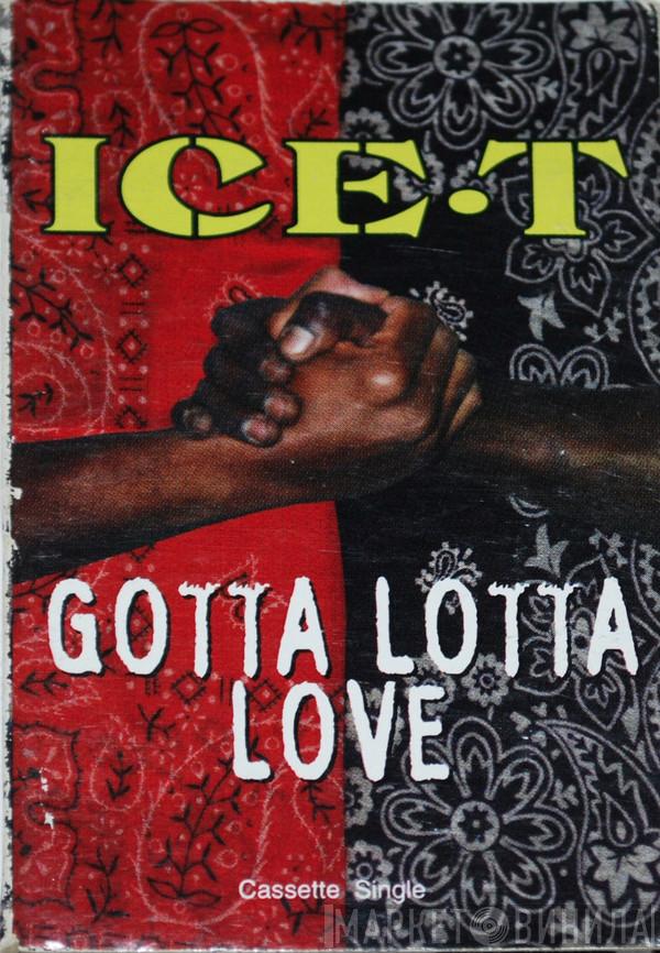  Ice-T  - Gotta Lotta Love