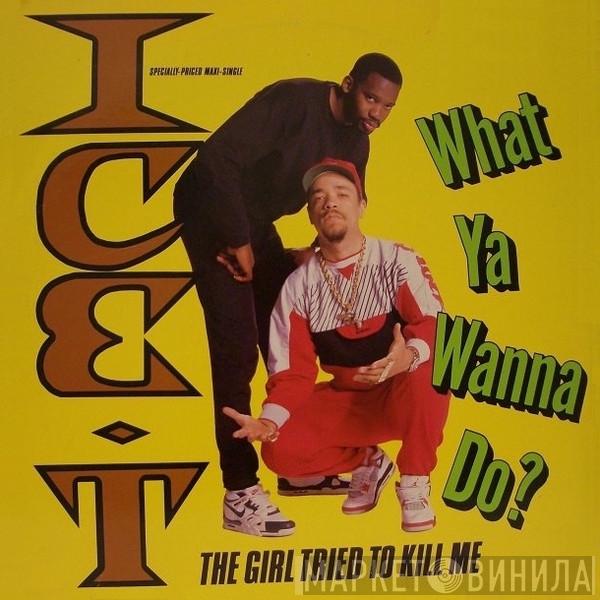 Ice-T - What Ya Wanna Do?