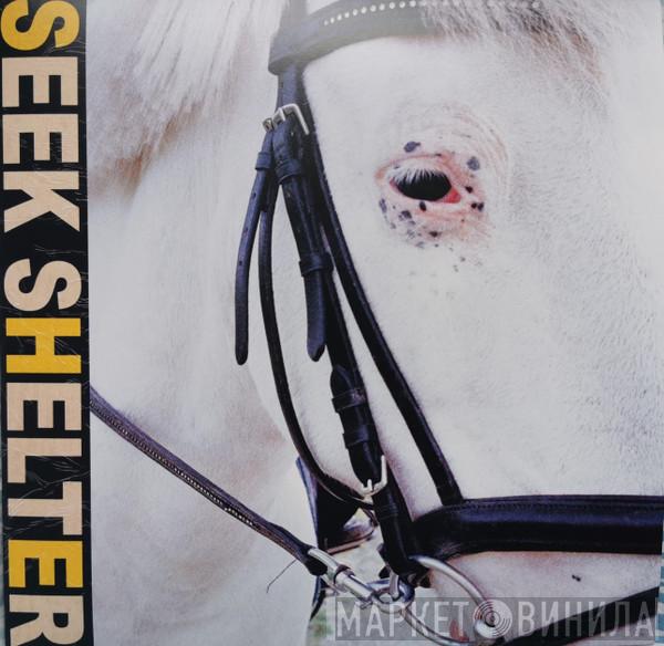 Iceage - Seek Shelter