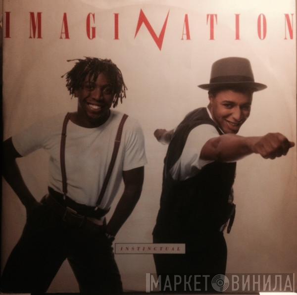 Imagination - Instinctual