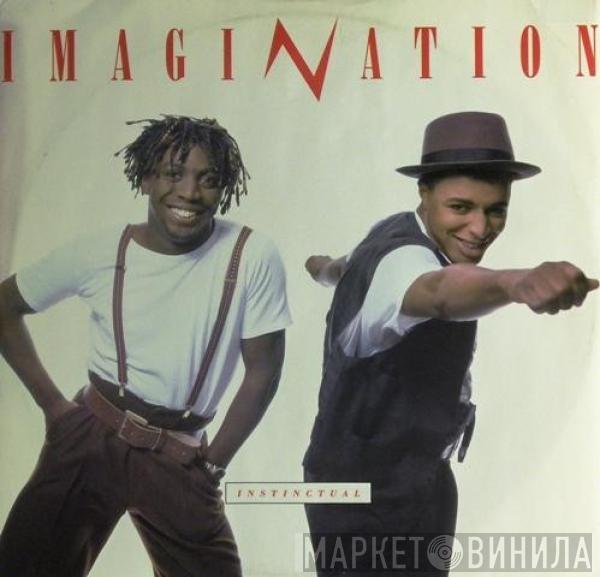  Imagination  - Instinctual