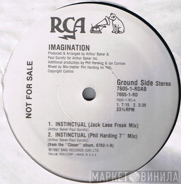  Imagination  - Instinctual