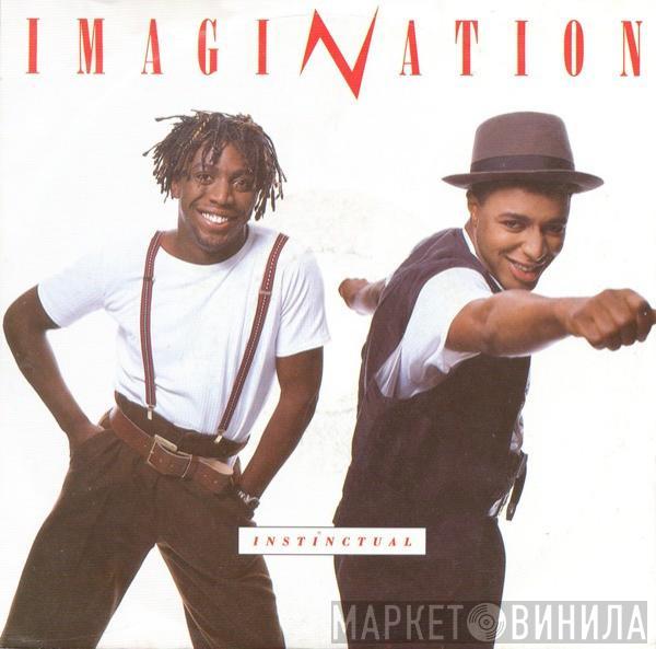  Imagination  - Instinctual