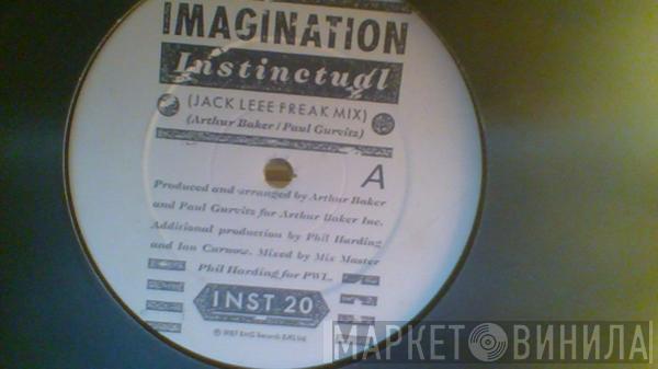 Imagination - Instinctual