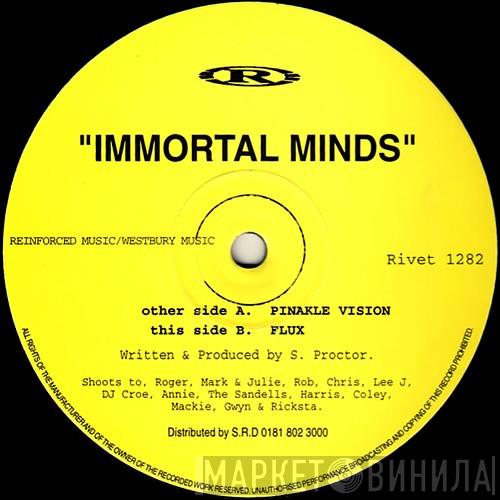 Immortal Minds - Pinakle Vision / Flux