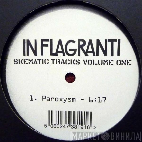 In Flagranti - Skematic Tracks Volume One