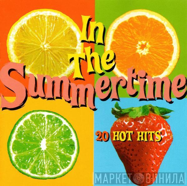  - In The Summertime (20 Hot Hits)