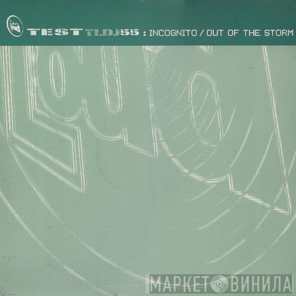 Incognito - Out Of The Storm