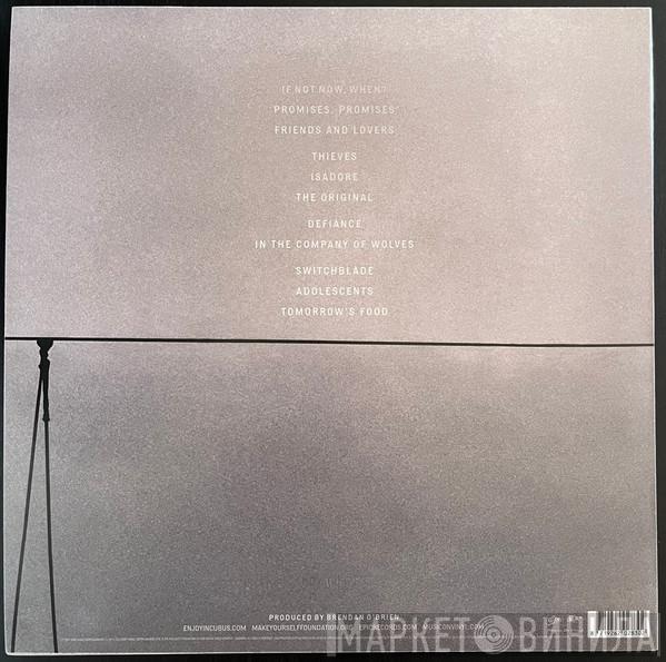 Incubus  - If Not Now, When?