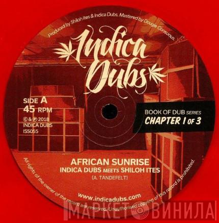Indica Dubs, Shiloh Ites - Book Of Dub Series Chapter 1 of 3