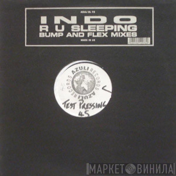 Indo - R U Sleeping (Bump And Flex Mixes)