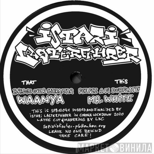 Istari Lasterfahrer - Dubcore Volume 20