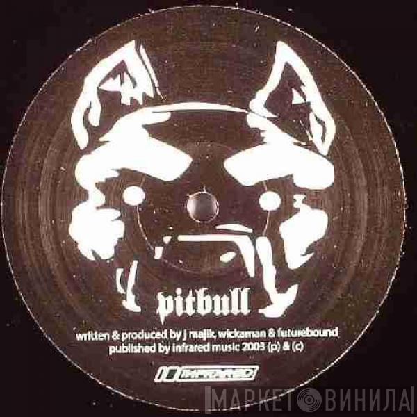 J Majik & Wickaman, Future Bound - Pitbull / Mr. Hunger