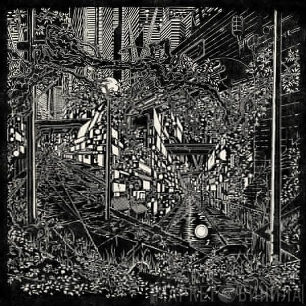 Jake Long  - City Swamp