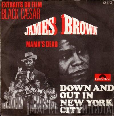  James Brown  - Down And Out In New York City