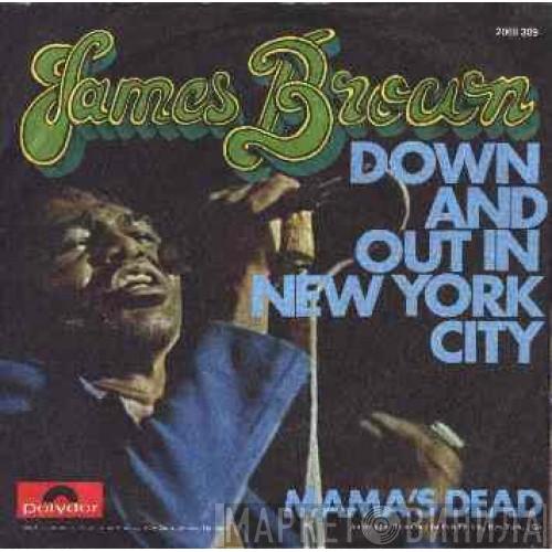  James Brown  - Down And Out In New York City