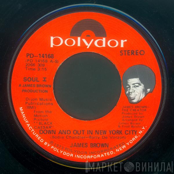  James Brown  - Down And Out In New York City