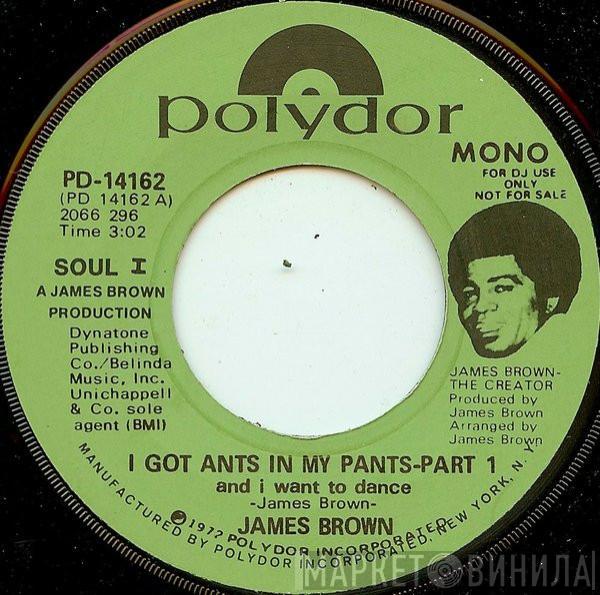  James Brown  - I Got Ants In My Pants (And I Want To Dance)