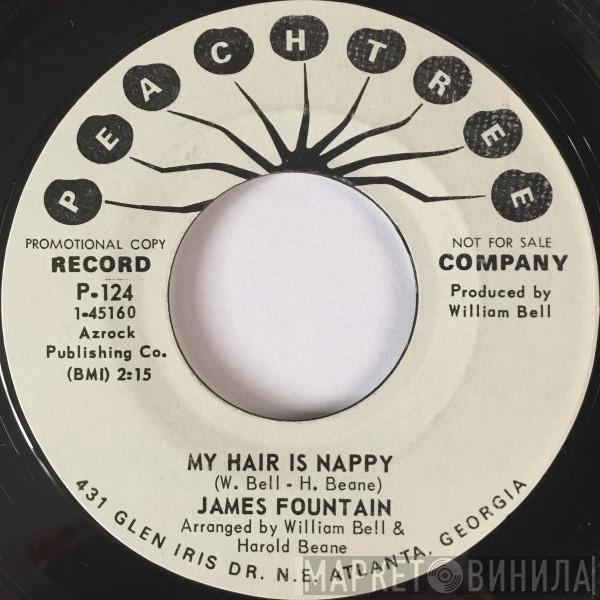 James Fountain - My Hair Is Nappy