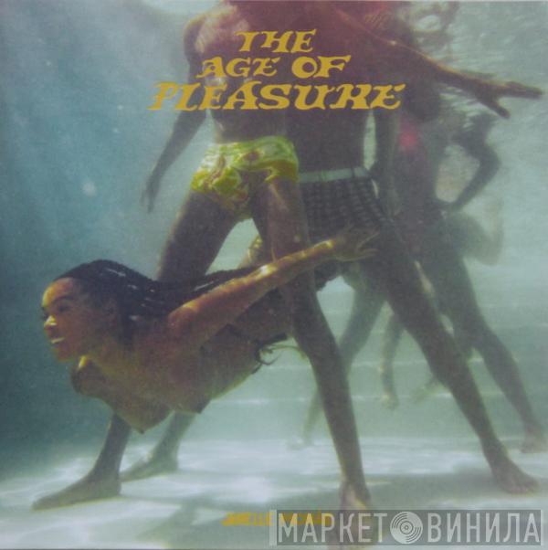 Janelle Monáe - The Age Of Pleasure