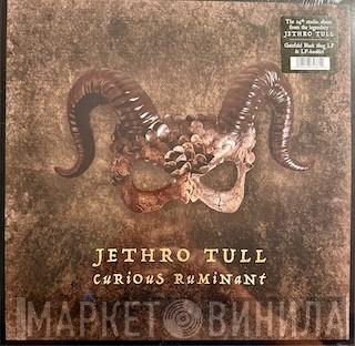 Jethro Tull - Curious Ruminant