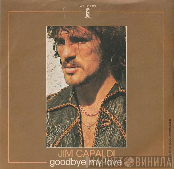  Jim Capaldi  - Goodbye My Love