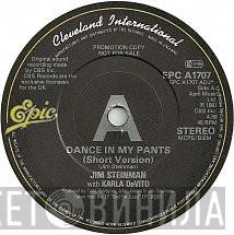 Jim Steinman, Karla DeVito - Dance In My Pants