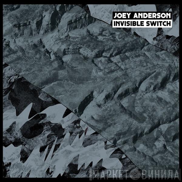 Joey Anderson  - Invisible Switch