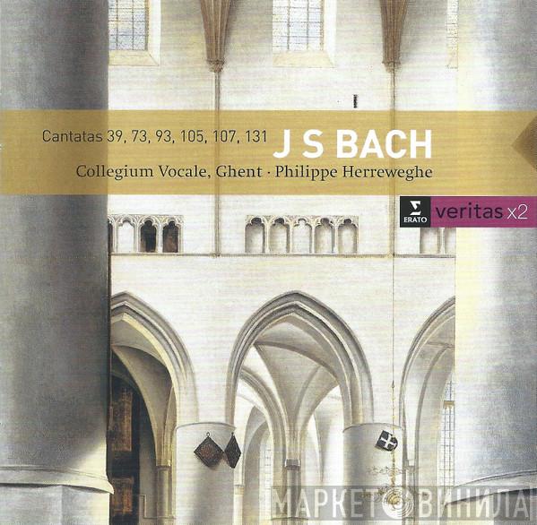 Johann Sebastian Bach, Collegium Vocale, Philippe Herreweghe - Cantatas 39, 73, 93, 105, 107, 131