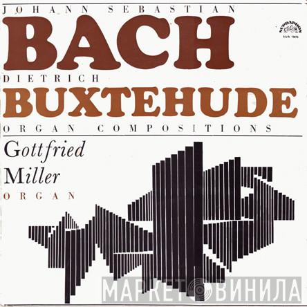 Johann Sebastian Bach, Dieterich Buxtehude, Gottfried Miller - Organ Compositions