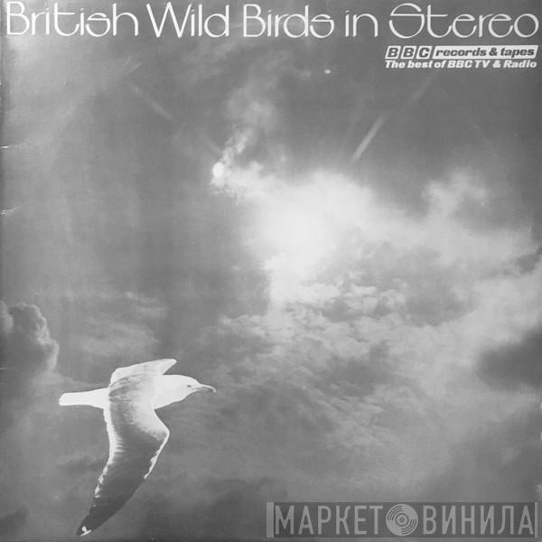 John F. Burton, David Tombs - British Wild Birds In Stereo