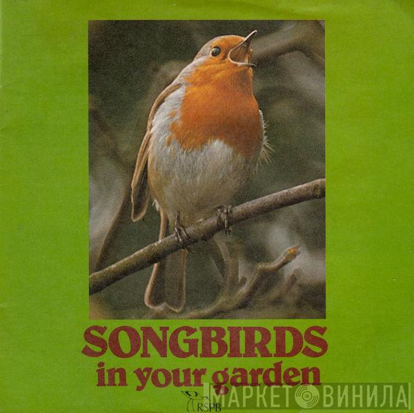 John Kirby  - Songbirds In Your Garden