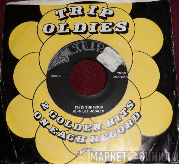 John Lee Hooker  - I'm In The Mood