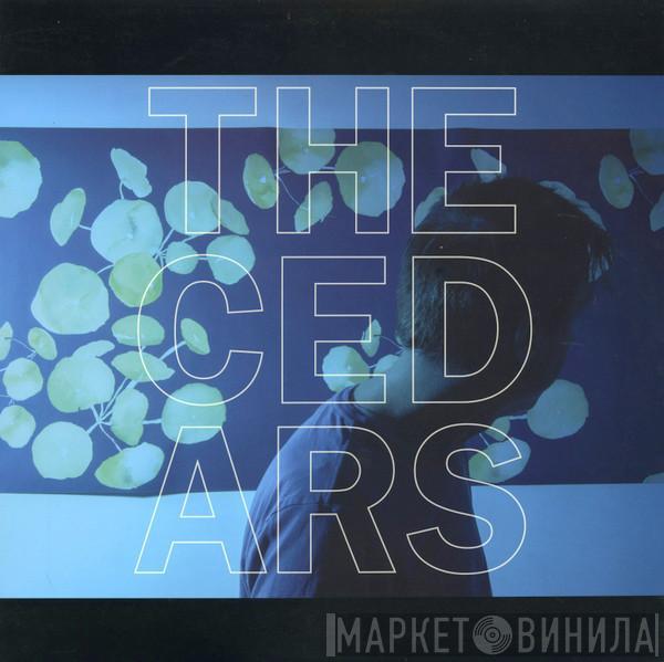 John Vanderslice - The Cedars