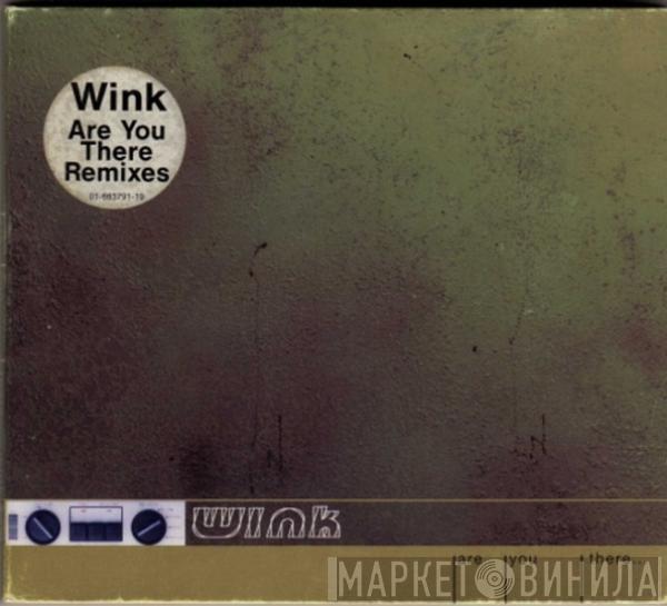 Josh Wink  - Are You There...