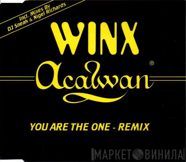  Josh Wink  - You Are The One (Remixes)
