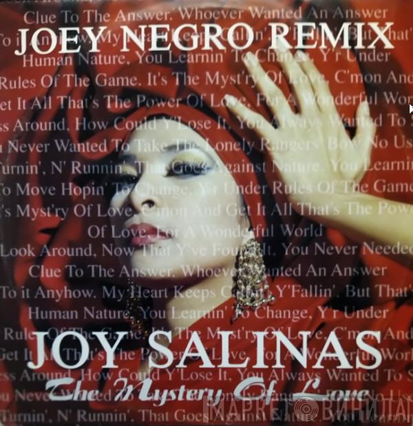Joy Salinas - The Mystery Of Love (Joey Negro Remix)