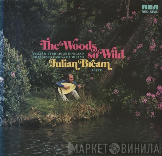  Julian Bream  - The Woods So Wild