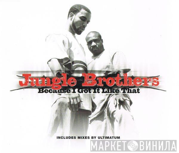 Jungle Brothers - Because I Got It Like That