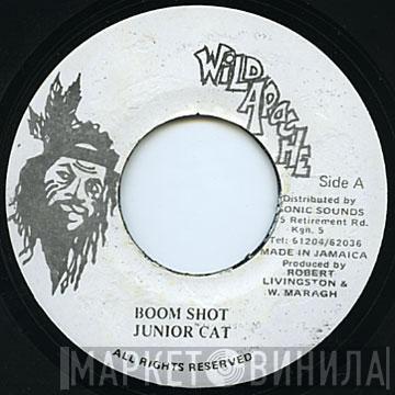  Junior Cat  - Boom Shot