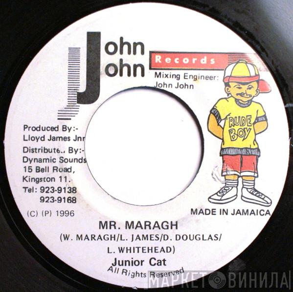  Junior Cat  - Mr. Maragh