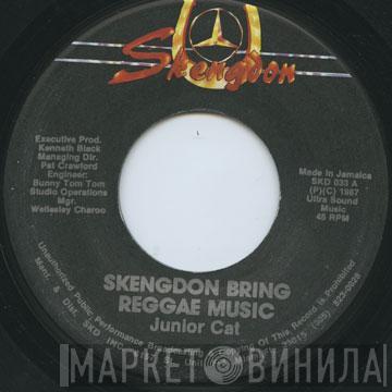  Junior Cat  - Skengdon Bring Reggae Music