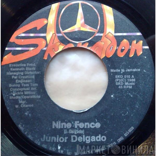 Junior Delgado - Nine Fence