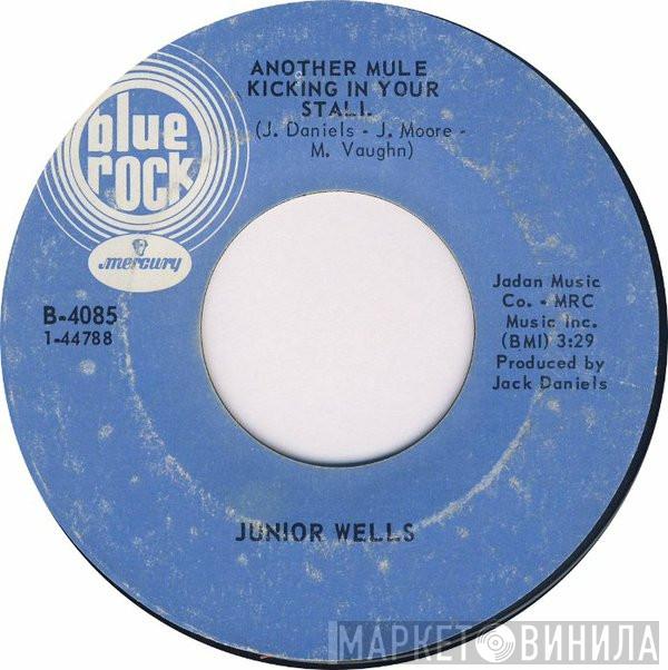 Junior Wells - Party Power