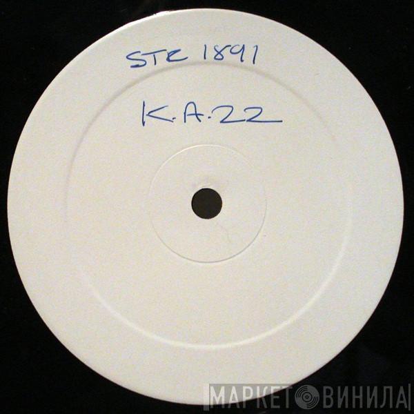 KA-22 - Metamorphism