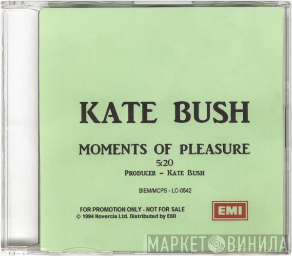  Kate Bush  - Moments Of Pleasure